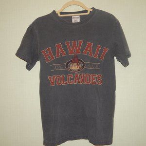 Hawaii Volcanoes Top